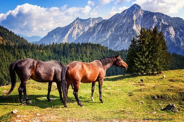 Znaczenie i symbolika snu brązowego konia