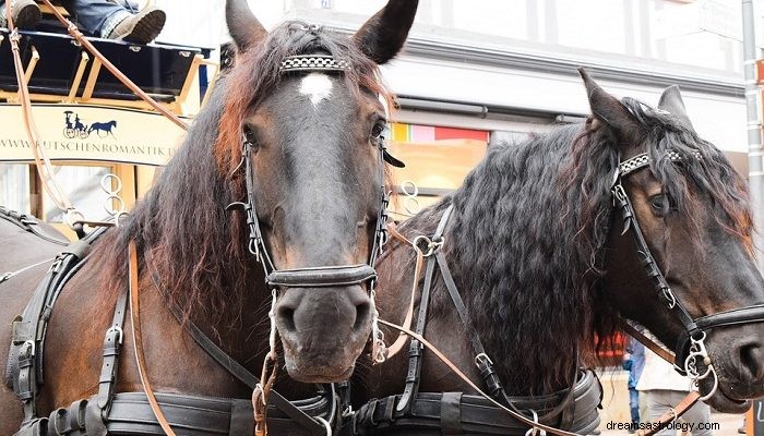 Sueños con caballos:significado e interpretación