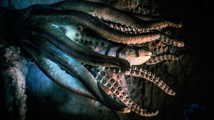 Drømmer om blekksprut – mening og tolkning
