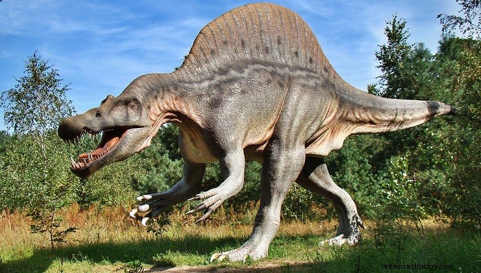 Dromen over dinosaurussen - betekenis en interpretatie