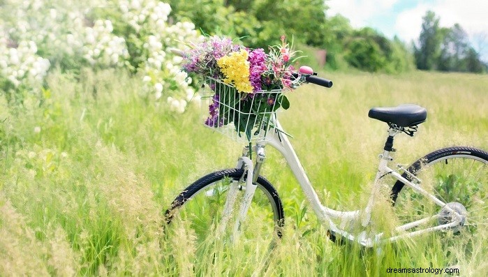 Sonhos com bicicleta – significado e interpretação