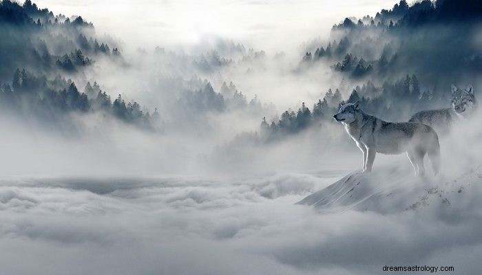 Träume von Wölfen – Bedeutung und Interpretation