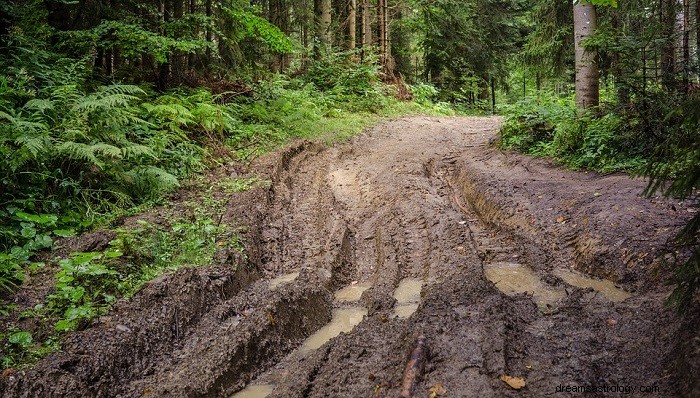 Träume vom Schlamm – Bedeutung und Interpretation