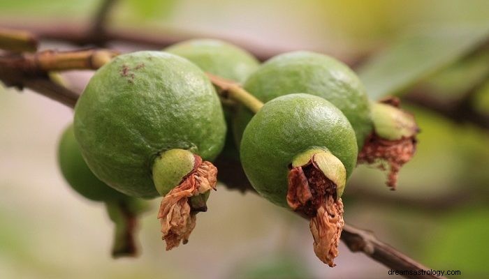 Guavafrukt – drömmening och symbolik