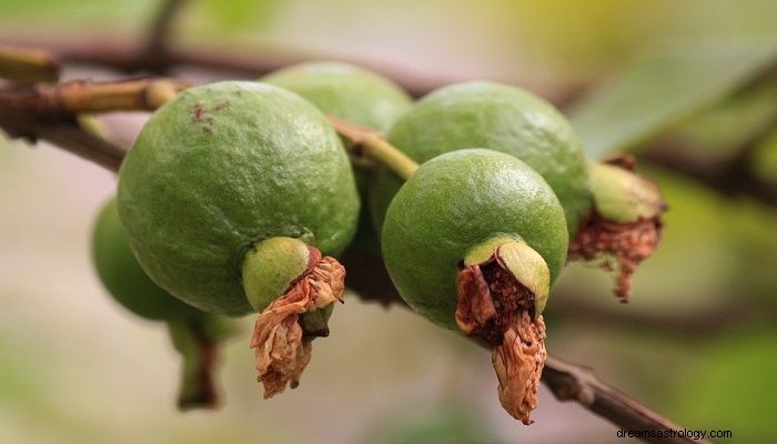 Guava-Frucht – Bedeutung und Symbolik von Träumen