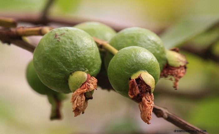 Owoc guawy – znaczenie i symbolika snu