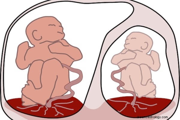 双子を妊娠する夢の意味