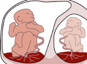 Vysněný význam těhotenství s dvojčaty