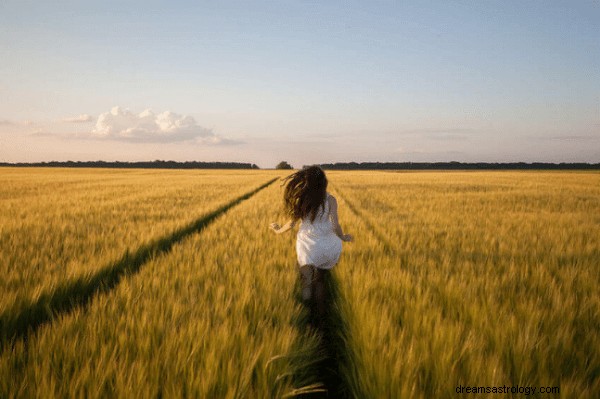 Significato del sogno di essere inseguiti:cosa significa? Interpretiamo ora!