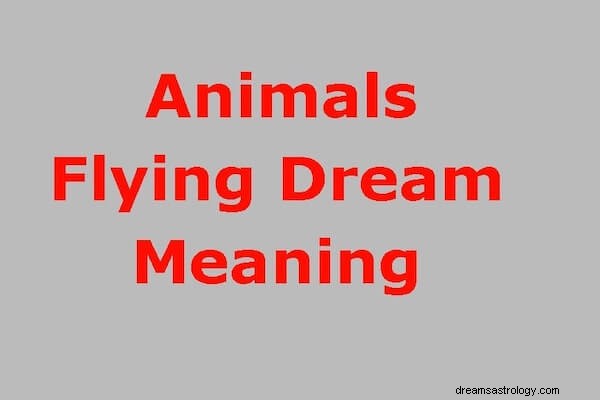 Dyr Flyvende drøm Betydning:Hva symboliserer dyr som flyr i drømme?