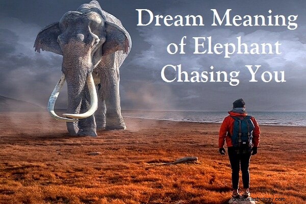 Drömmening av Elephant Chasing You:Låt oss tolka det!