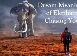 Traumbedeutung von Elefant, der dich jagt:Lass es uns interpretieren!