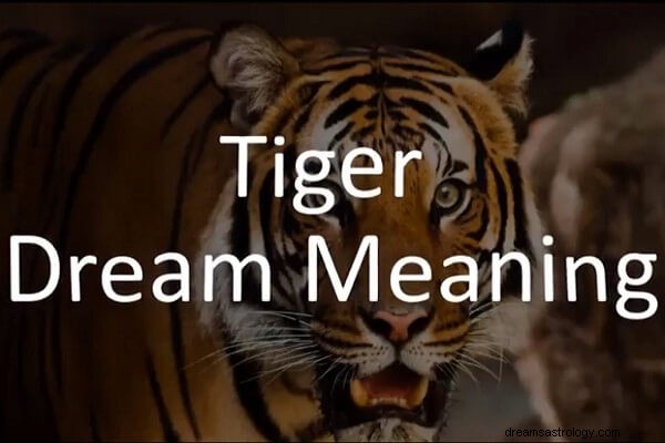 Interprétation du rêve de tigre :qu est-ce que cela signifie ?