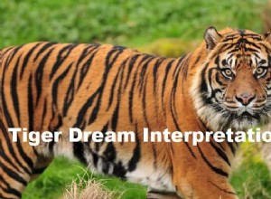 Interpretación del Sueño del Tigre:¿Qué significa?