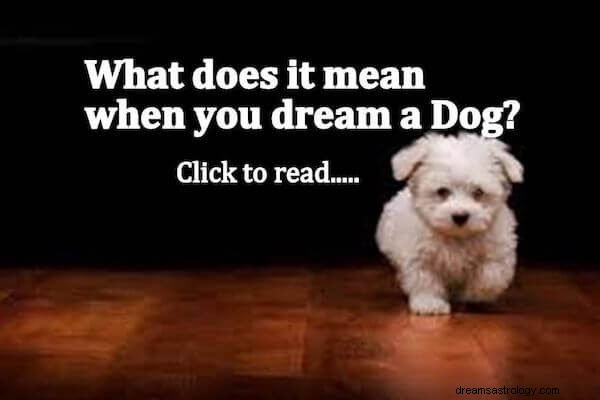 Όνειρο σκύλου Σημασία:Ας ερμηνεύσουμε το όνειρο σκύλου!