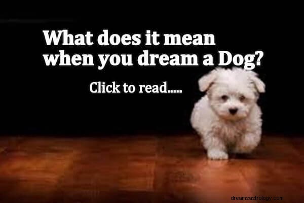 Significato di Dog Dream:interpretiamo il Dog Dream!