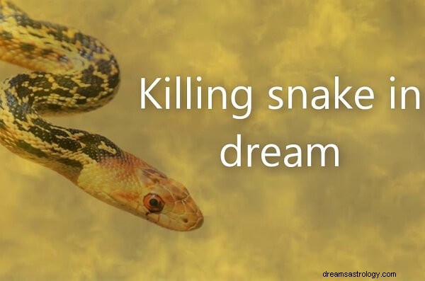 Een slang doden in je droom Betekenis en interpretatie