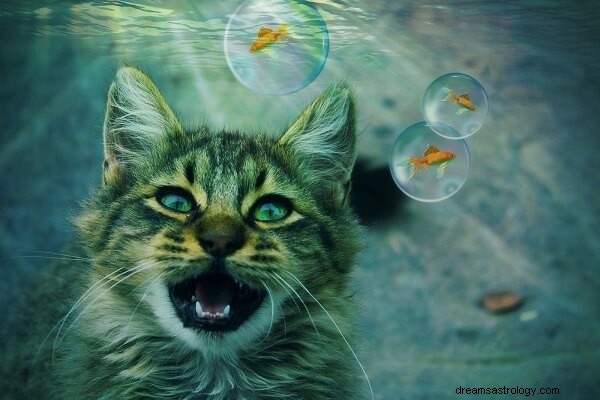 Signification et interprétation des rêves de chat :que symbolisent les rêves de chats ?