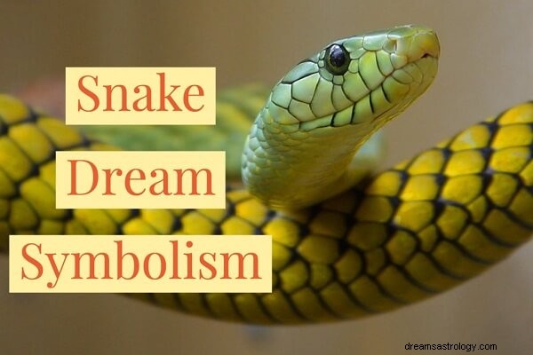 Soñar con Mordedura de Serpiente Significado e Interpretación:¡Vamos a Explorar!