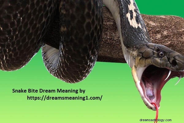 Znaczenie i interpretacja snów o ukąszeniu węża:poznajmy!