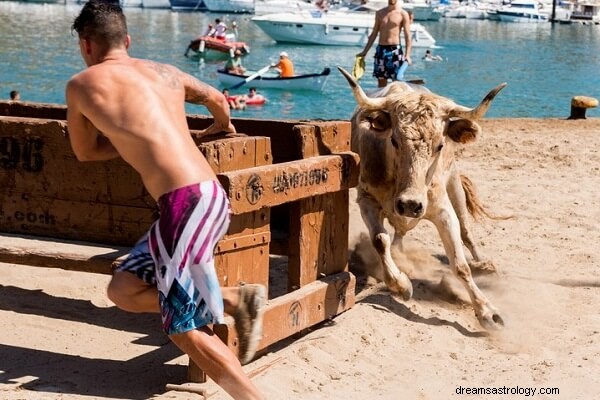 Significado de soñar con una vaca persiguiéndote:¿Qué significa?