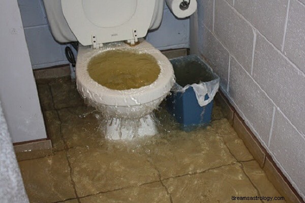 Rêve de toilettes débordantes Signification :Rêve de toilettes qui débordent d urine