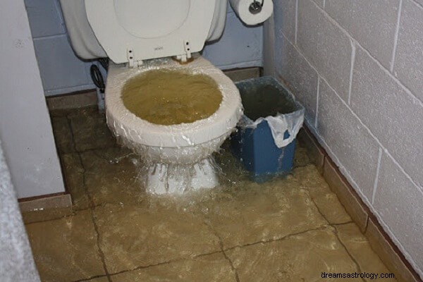 Droom over overlopend toilet Betekenis:droom over toilet dat overloopt met urine