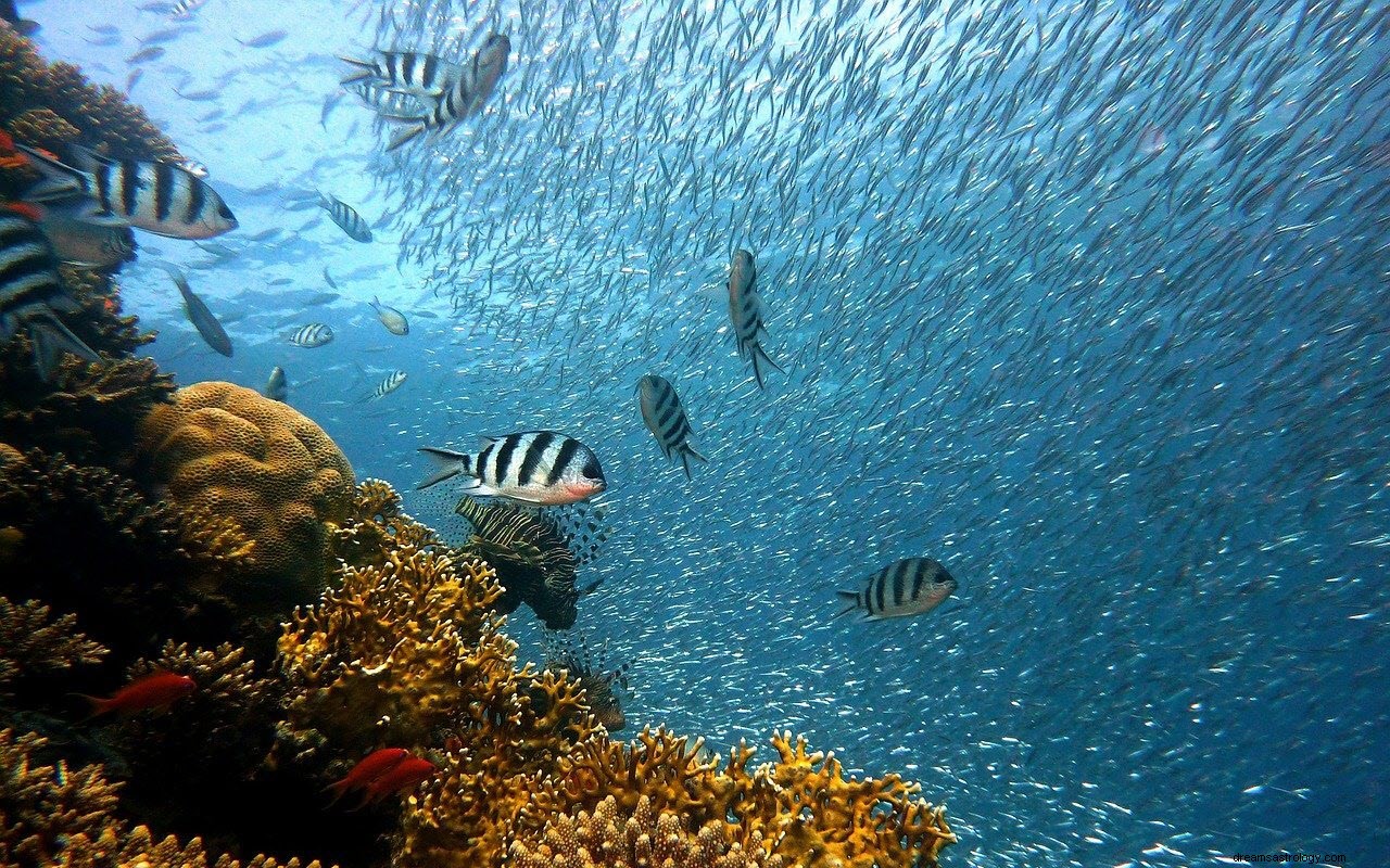 魚の夢を見る意味と解釈