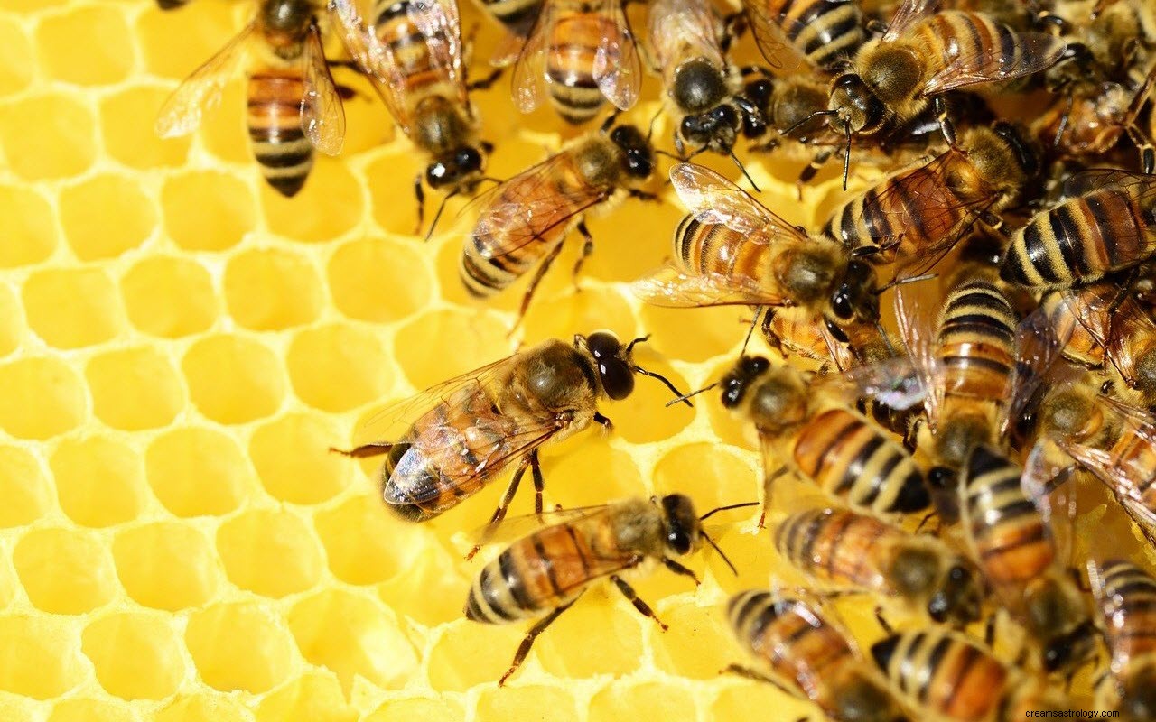 O significado e a interpretação dos sonhos com abelhas 