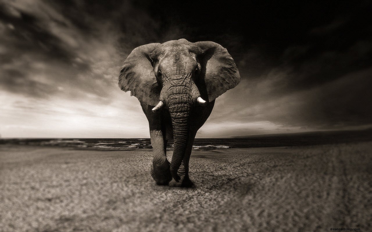 Betydan och tolkningen av drömmar om elefanter