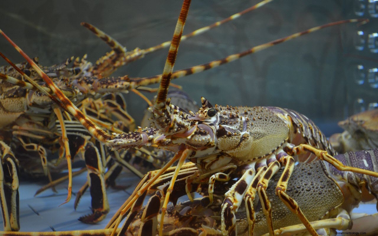 Arti dan Tafsir Mimpi Tentang Lobster
