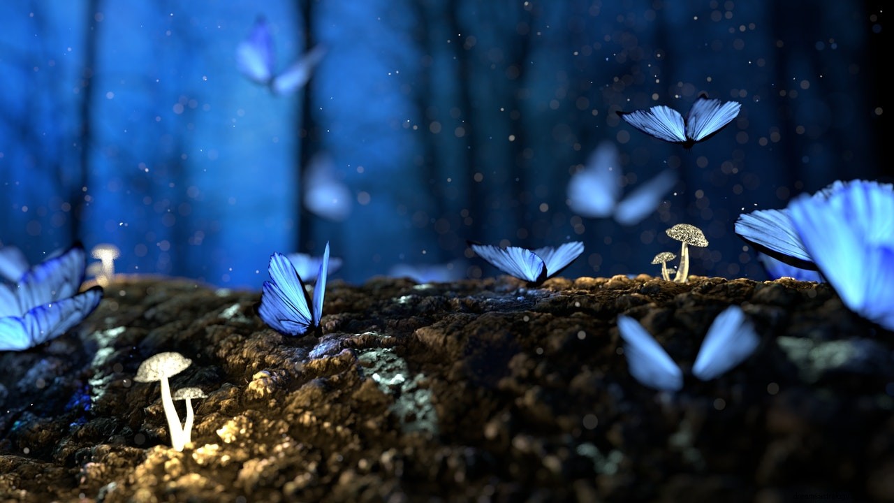 Meningen och tolkningen av att drömma om fjärilar