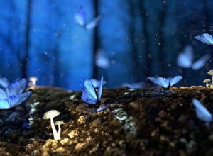 La signification et l interprétation du rêve de papillons