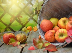 La signification et l interprétation des rêves de pommes