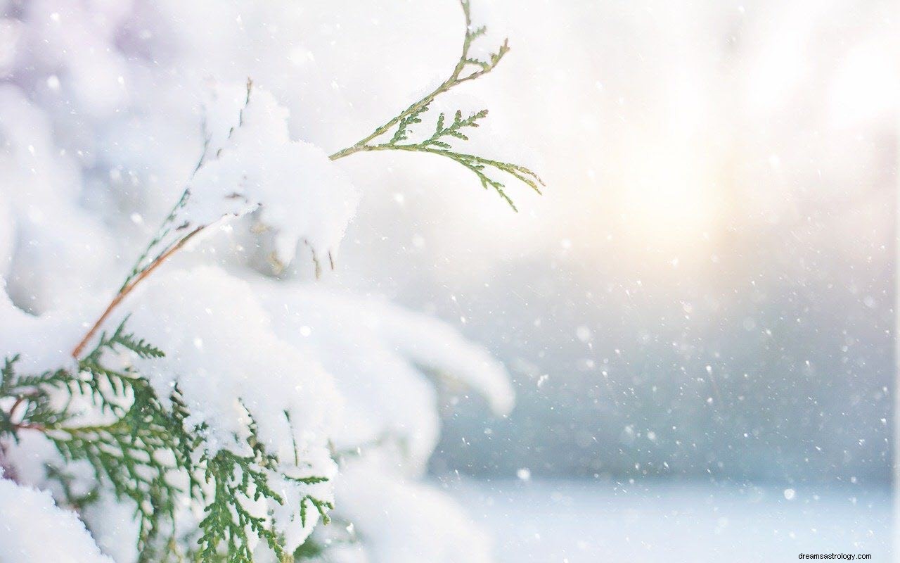 Il significato e l interpretazione di sognare la neve