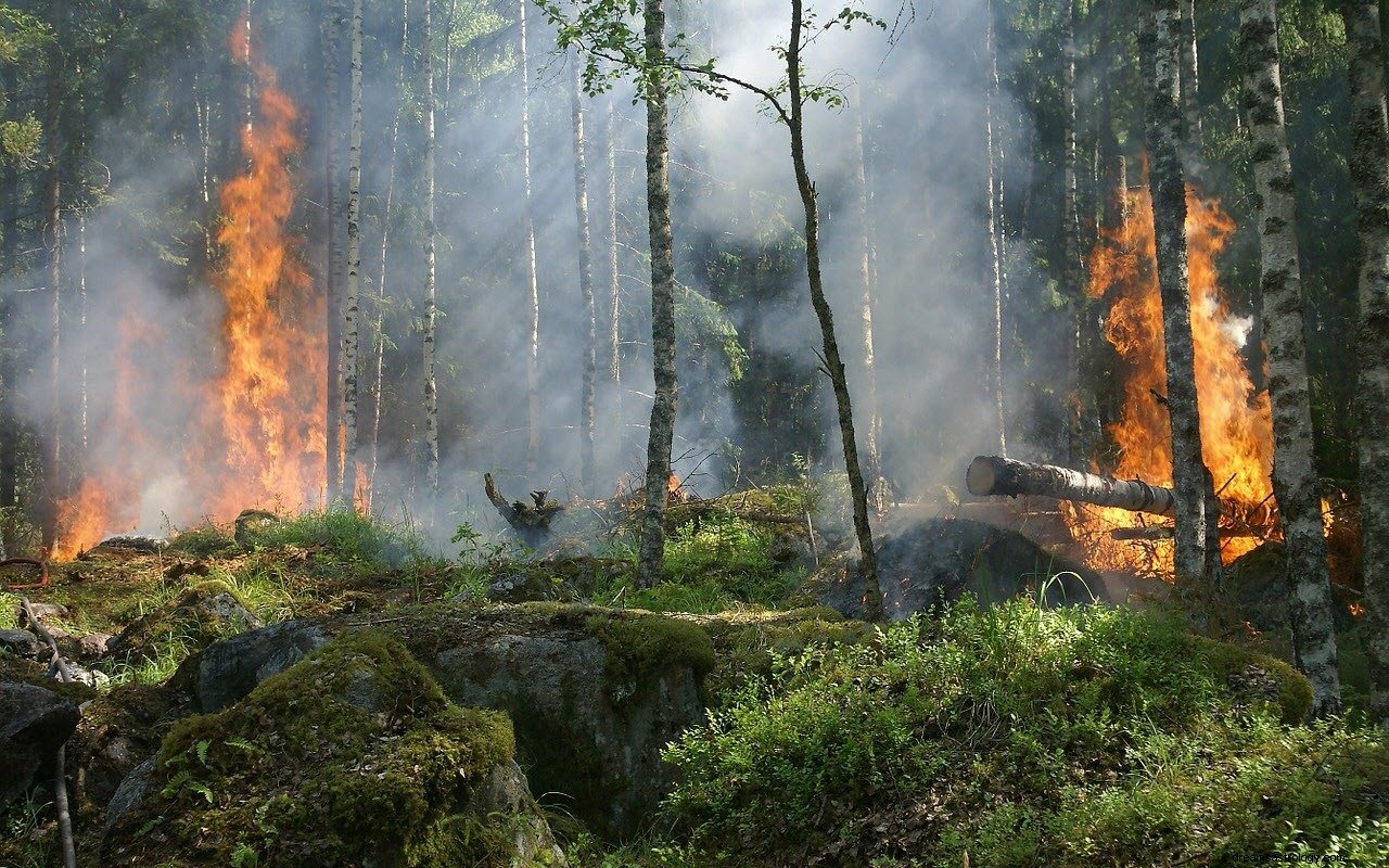 火事の夢の意味と解釈