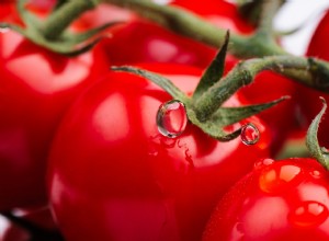 Betydningen og tolkningen av drømmer om tomater