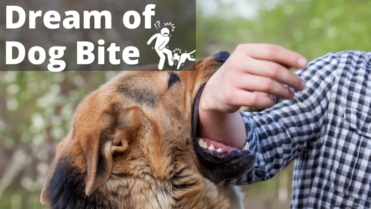 Mordida de cachorro no sonho Significado:mordida na mão direita e no pé direito