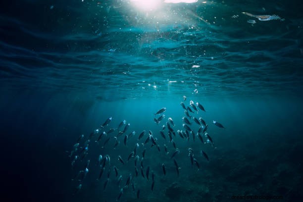 Sonhe com mar e oceano:interpretação e simbolismo