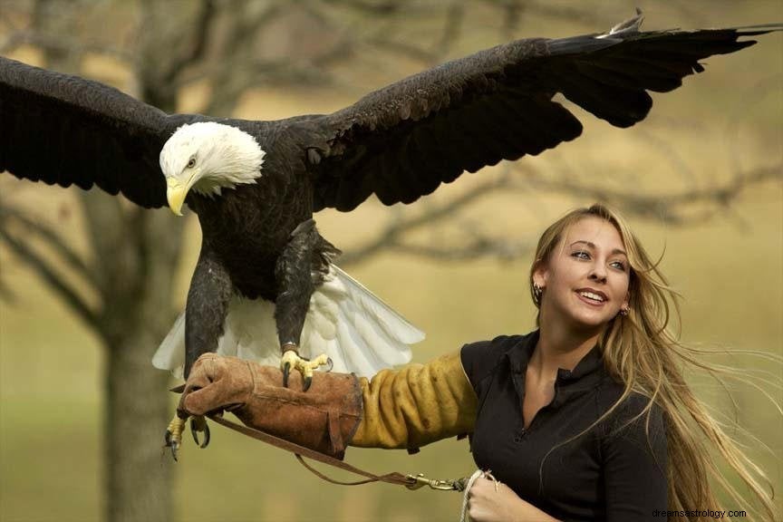 Voir un aigle dans un rêve signifie ? Mythologie hindoue et musulmane 2021