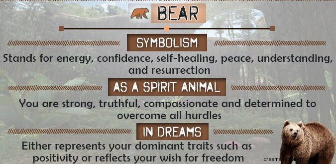 Vendo Urso no Sonho Significado:Urso Preto, Branco, Marrom e Polar