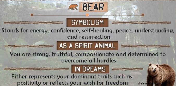 Seing Bear in Dream Meaning:Black, White, Brown &Polar Bear