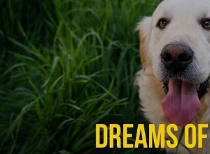 犬が死ぬ夢の意味：ペットの犬が死ぬ夢の意味とは？ 