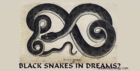 Schlange jagt Traum Bedeutung:Weiße und schwarze Schlange jagt mich