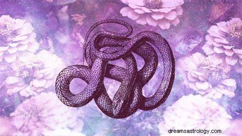 Όνειρο που κυνηγάει το φίδι Σημασία:Λευκό και μαύρο φίδι με κυνηγάει