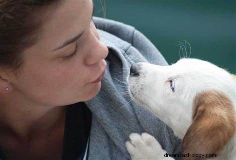 白い犬を見て遊ぶ夢：意味と解釈