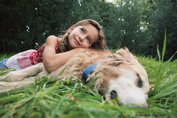 Drøm om hund, der betyder godt eller dårligt:​​mytologisk fortolkning