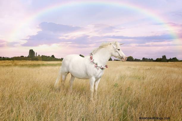 Sogno di unicorno nero Significato:vedere l unicorno in sogno