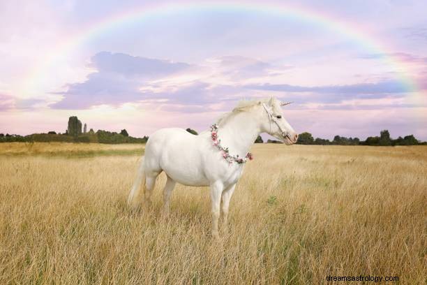 Rêve de licorne noire Signification :voir une licorne en rêve