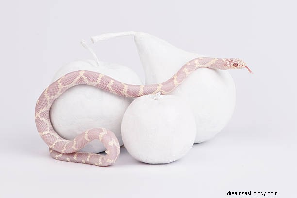 Morsi di serpente bianco nei sogni:uccidere il serpente bianco in sogno